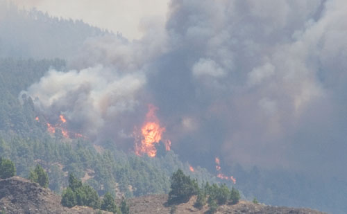 incendioslapalma Greenpeace cita los recientes incendios de La Palma.