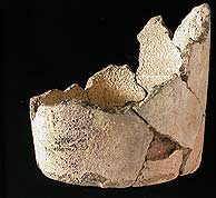 1118936525_0 1118936525_0