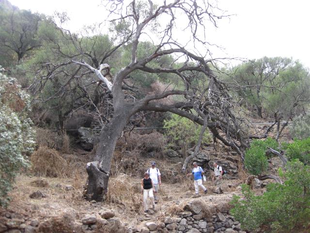 IMG_8409 (Small)