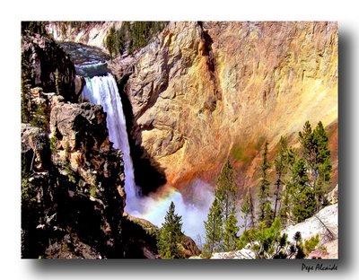 EEUU_1_(49) EEUU_1_(49)