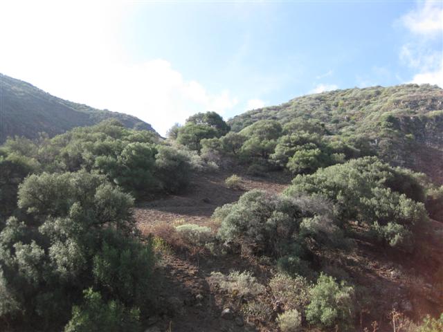 IMG_8336 (Small)