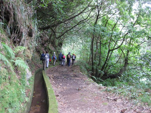 IMG_8268 (Small)