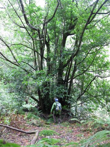 IMG_8279 (Small)