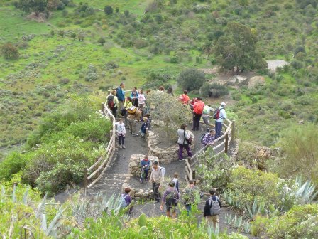 mirador-reduc