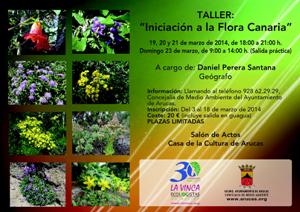 flora canaria (1)