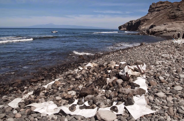 Playa contaminada