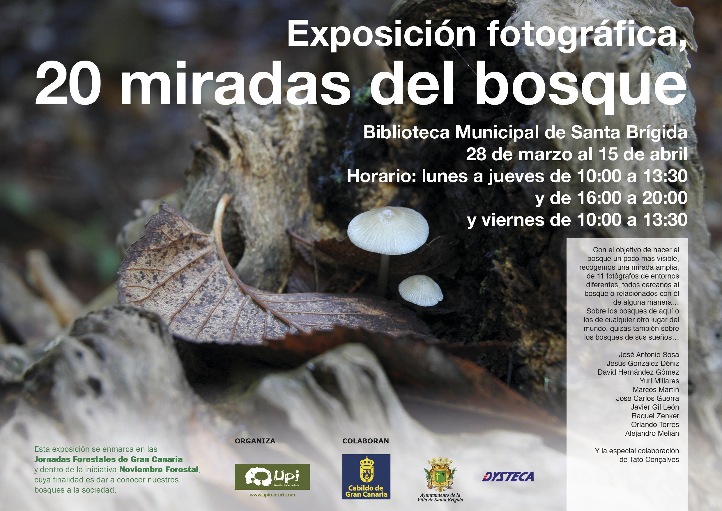 1-20MiradasSantaBrgida