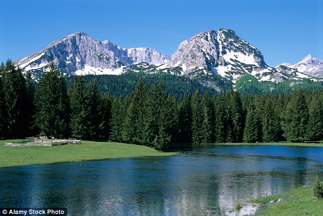 319CE07D00000578-3467059-image-a-109_1456584828736