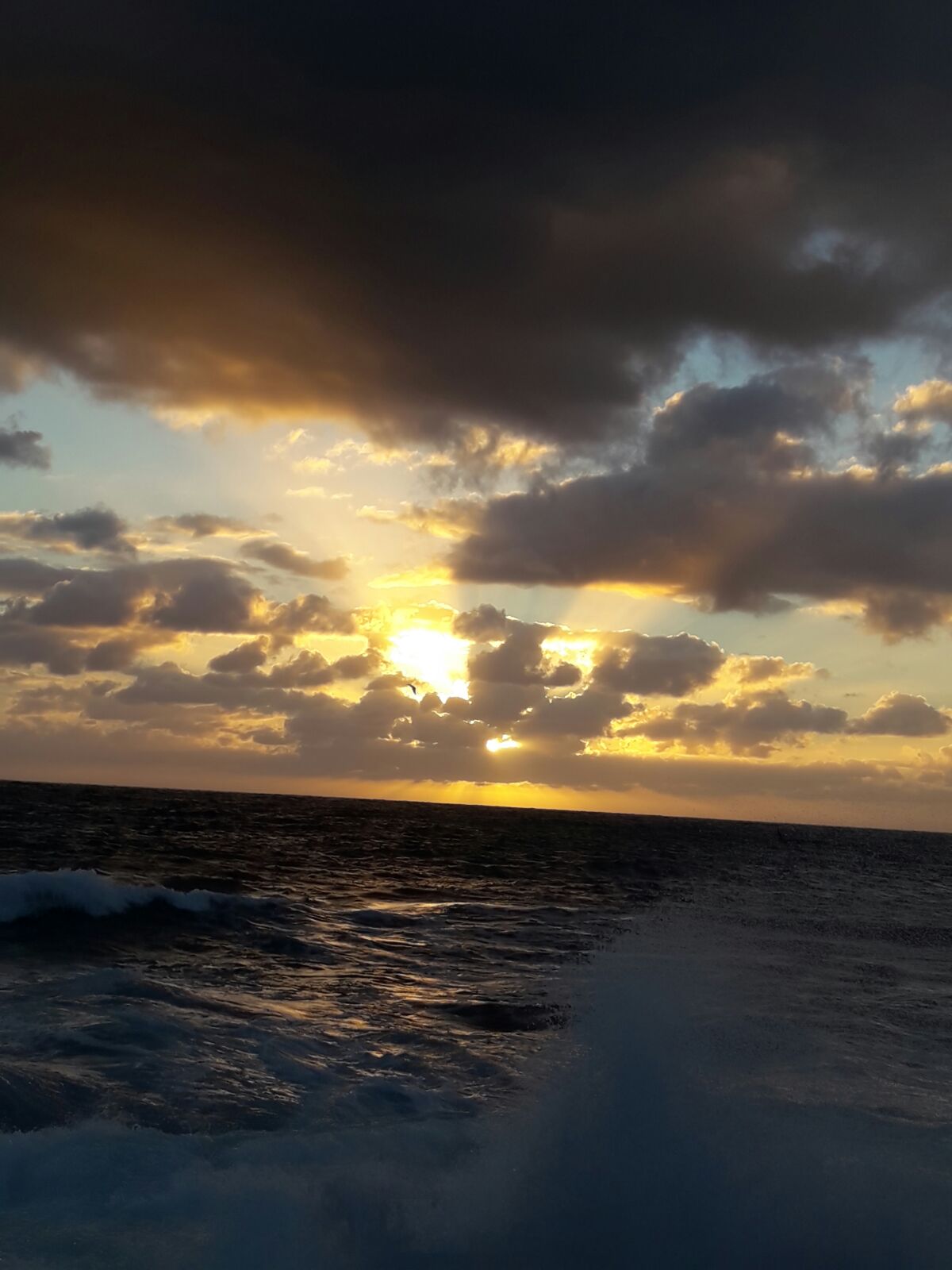 Mientras unos aprovechan la luz de la mañana para las artes fotográficas
