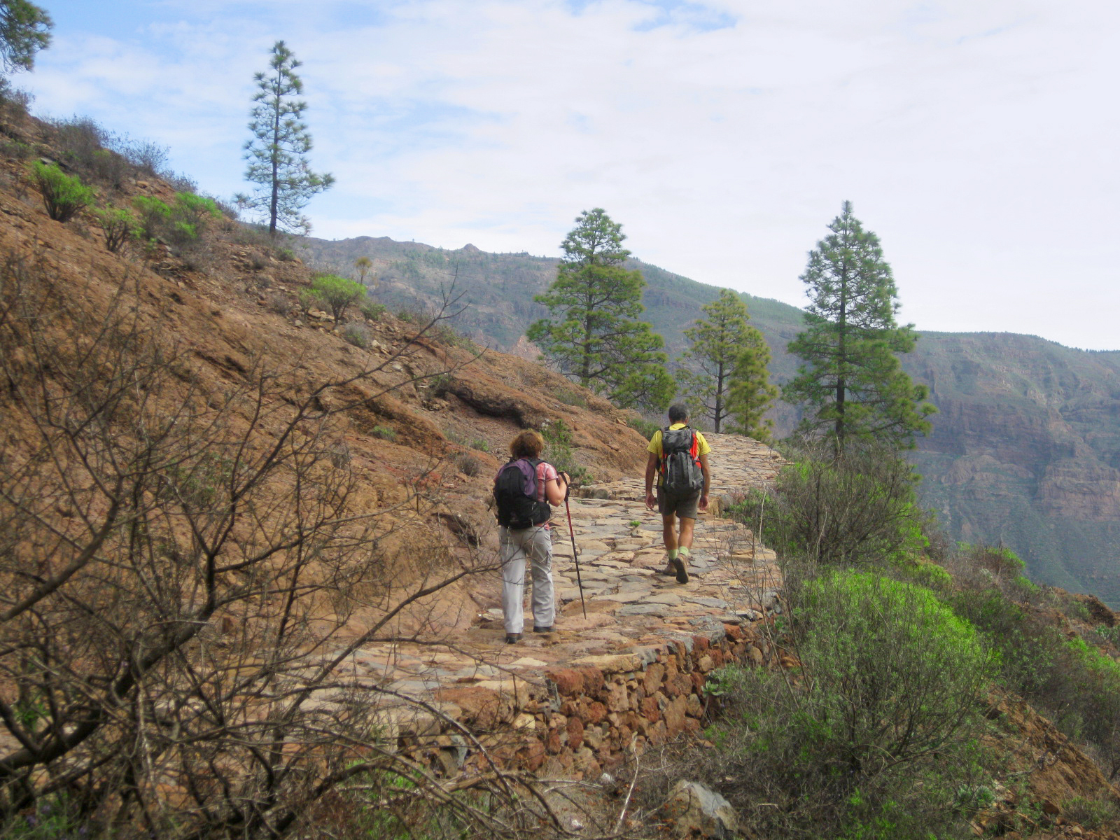 camino-santiago-de-tunte